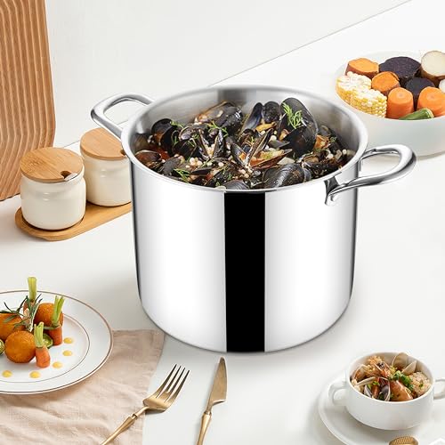 12 QT Stock Pot