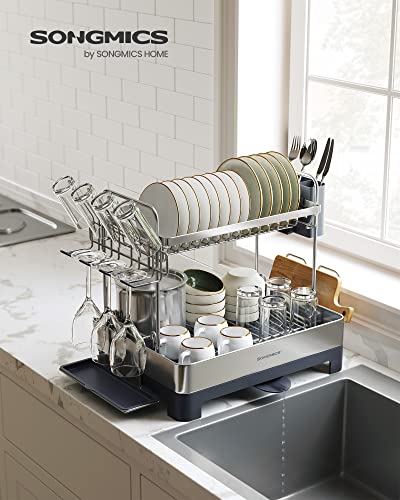 2 Tier Dish Drying Rack for Kitchen Counter