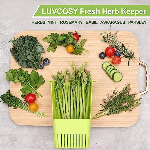 Herb Keeper Set (Herb Keeper Set/Green&Blue&Orange)