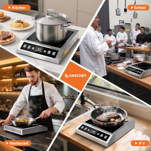 Portable Induction Cooktop 1800W Commercial Burner Stainless Steel (Stainless Steel)