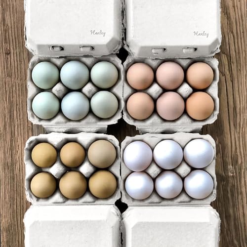 Half Dozen Blank White Egg Cartons (White / 20)