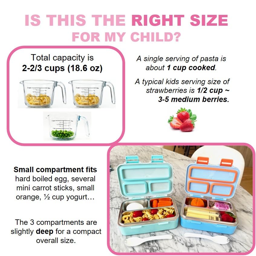 Small Stainless Steel Bento Box Lunch Container