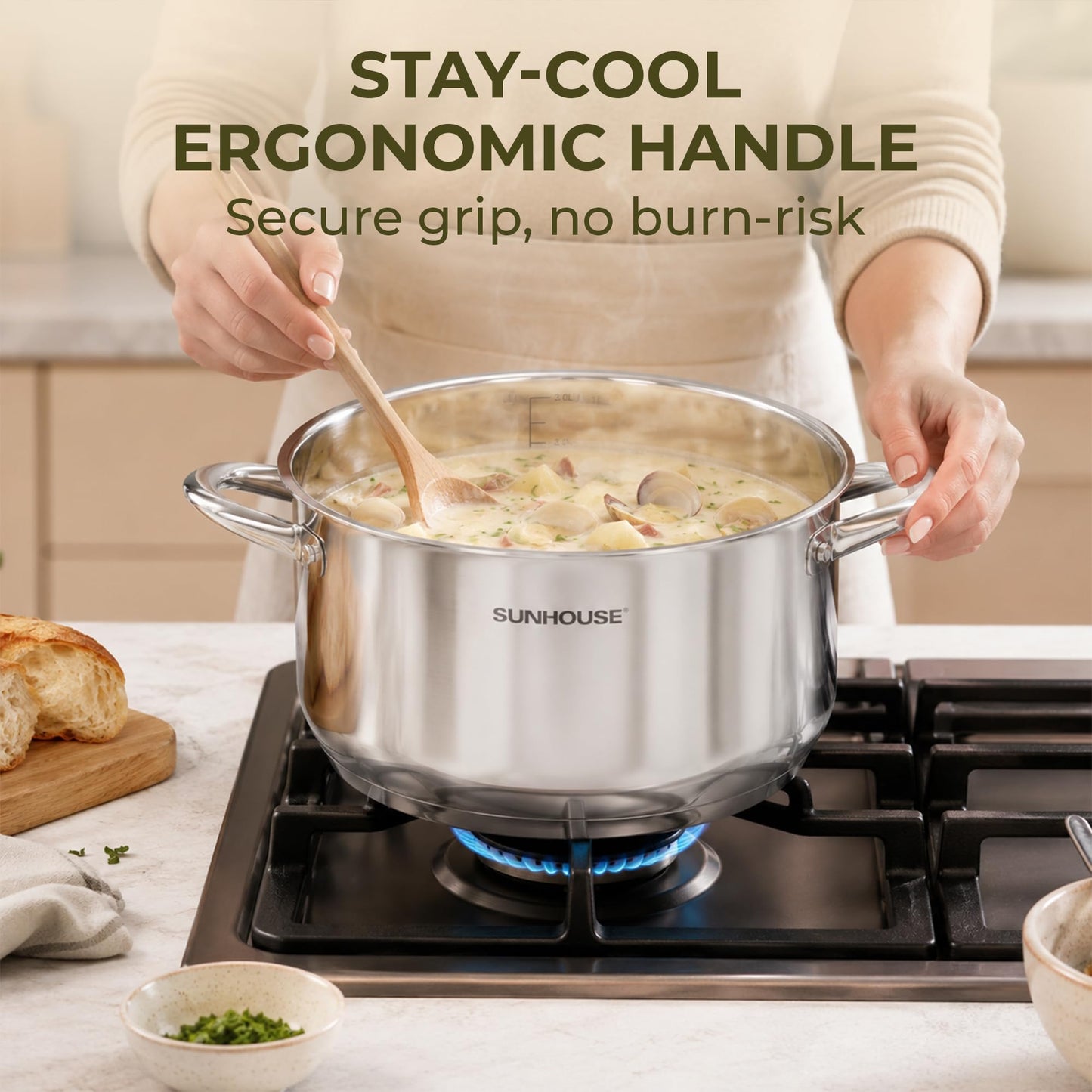 Stainless Steel Stock Pot