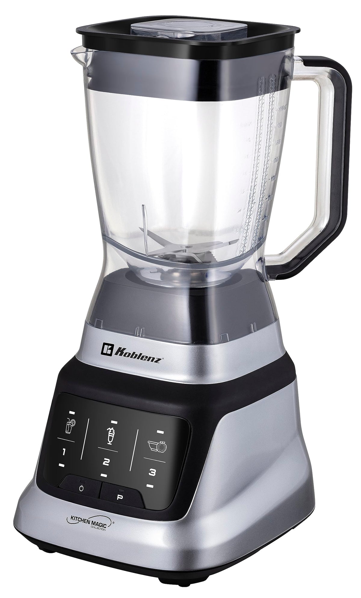 Professional Countertop Blender (1200W - Silver / Silver)