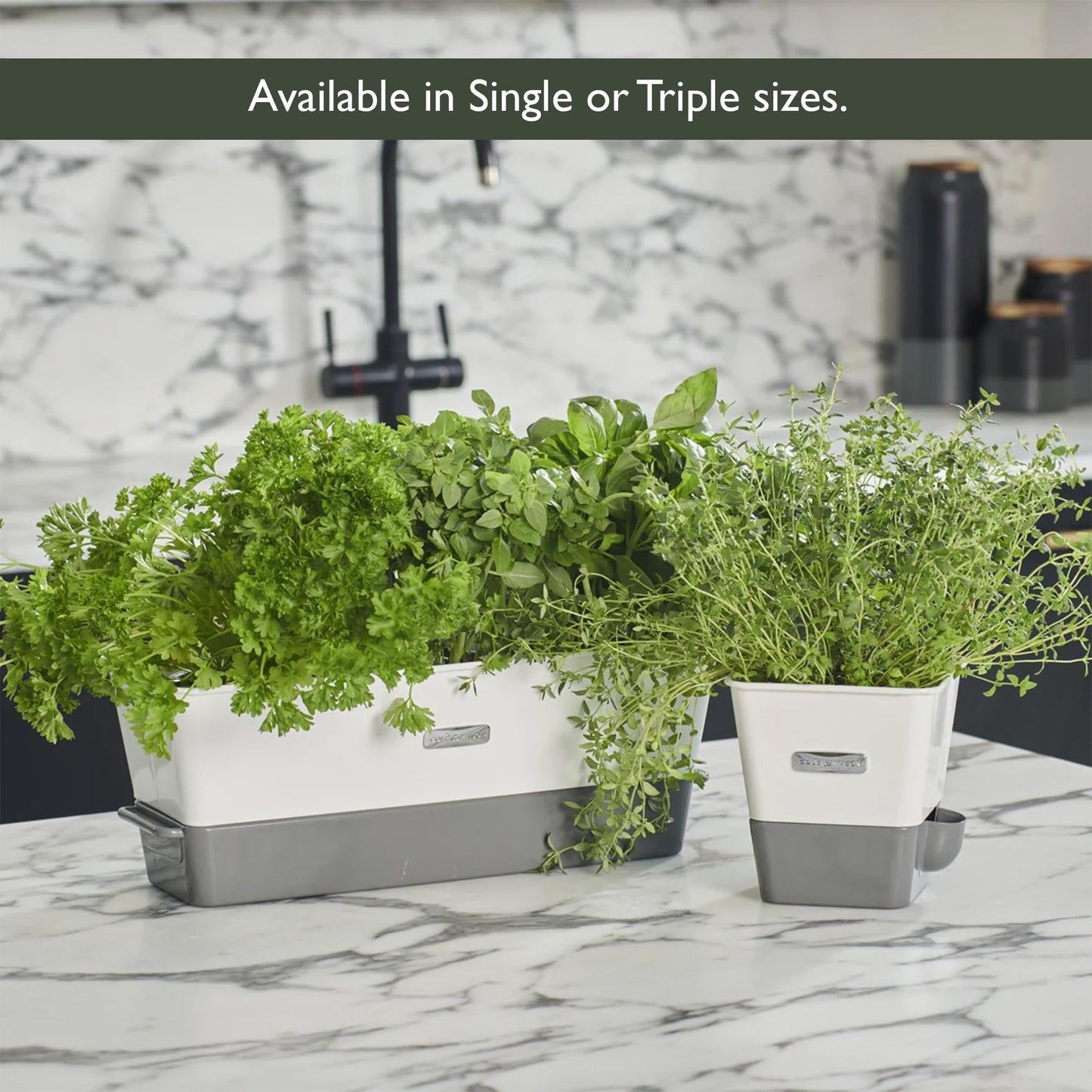 Burwell Self Watering Potted Herb Keeper (Triple Fresh Herb Keeper)