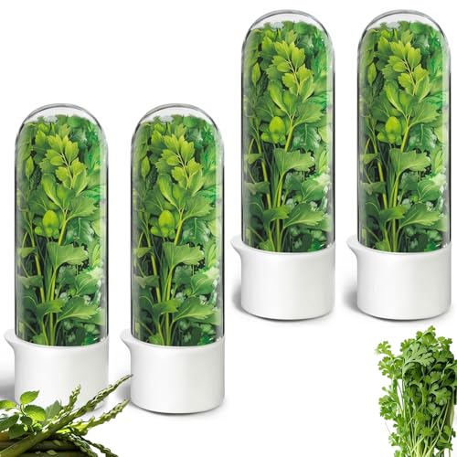 Fresh Herb Keeper for Refrigerator