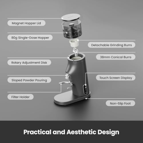 Electric Conical Burr Coffee Grinder (Gray)
