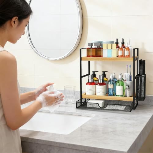 2 Tier Spice Rack Organizer for Countertop