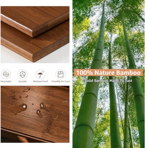 Bread Box for Kitchen Countertop (Amber)
