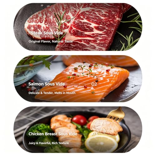 WiFi Sous Vide 1100W 220V (220V)