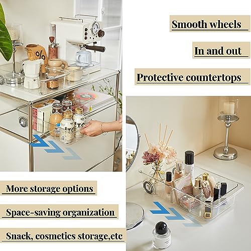 Fridge Organizer on Wheels