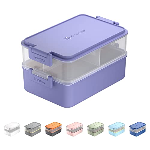 Bento Box Series