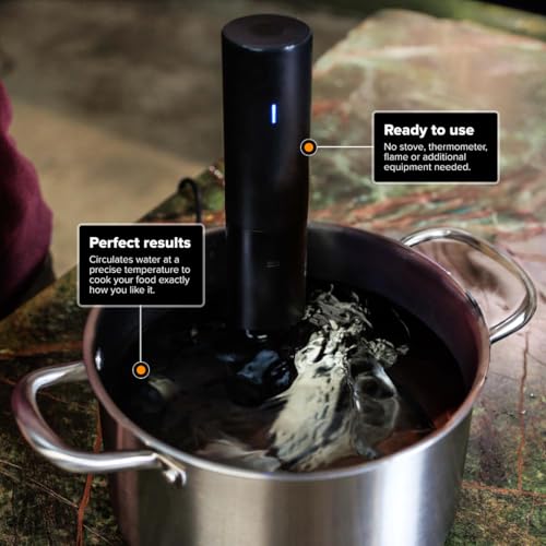 Sous Vide Precision Cooker Mini (Mini / Black)