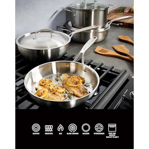 10 Piece Professional Tri (6 Quarts / Stainless Steel)