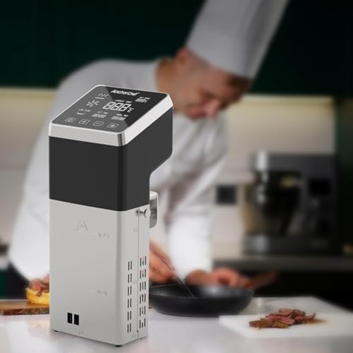 Immersion Circulator