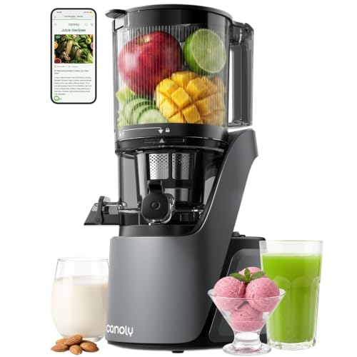 C16 Cold Press Juicer