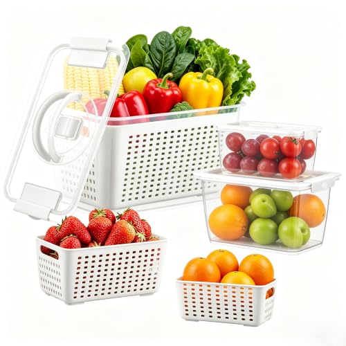 fruit containers diswasher safe