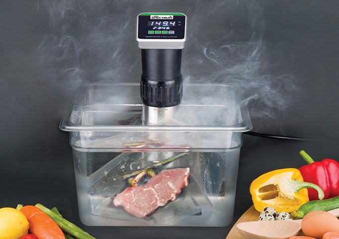 900W Silver Sous Vide Immersion Cooker