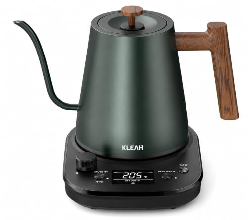 Gooseneck Electric Kettle with Temperature Control