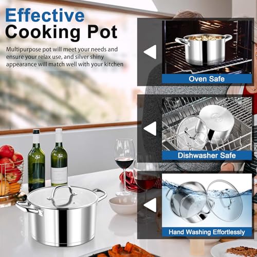 Stainless Steel Stock Pot with Lid