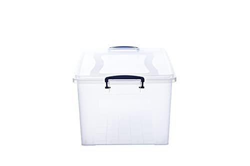 Storage Bins with Lids
