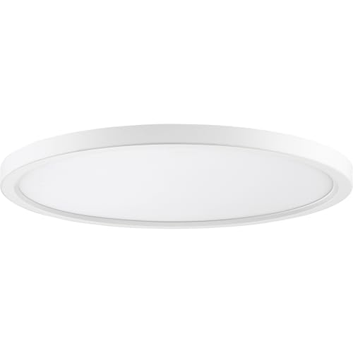Outskirts 20" Round Flush Mount LE Ceiling Light