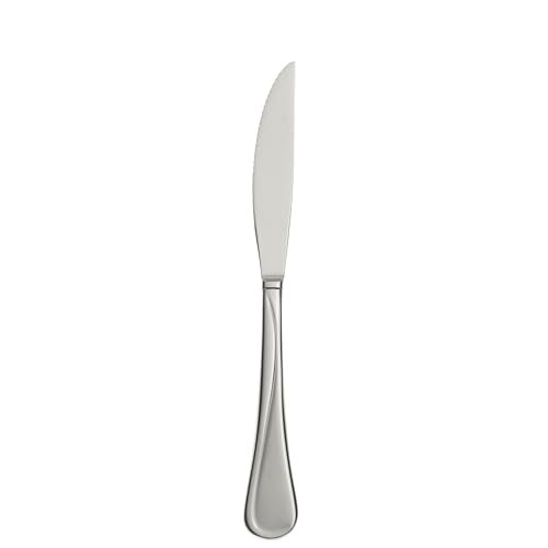 Flight Steak Knives Silverware Set for 4