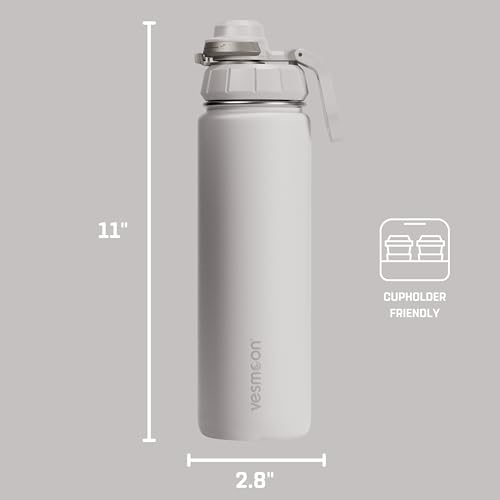 Vessence 24 Oz Stainless Steel Tea Infuser Bottle for Loose Leaf Tea (Siberia White / 24 Oz)