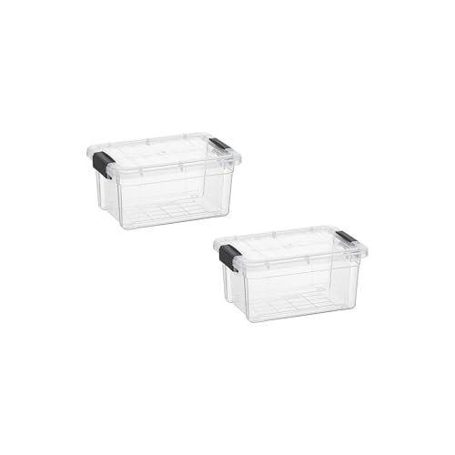 1.05 Quart Mini Clear Plastic Storage Container with Lid (1.05 Quart)