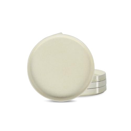 Bao 4 Piece Salad Plate Set Stoneware (Beige / 4-Piece - Salad Plate)
