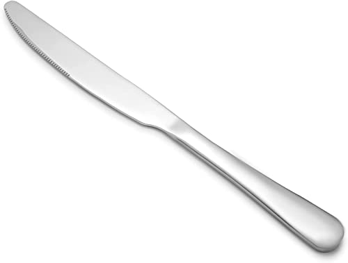 Stainless Steel 12 (9.1''Dinner Knives-12)