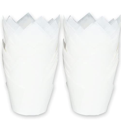 500 pcs Large size White Tulip Baking Cups 2 (White)