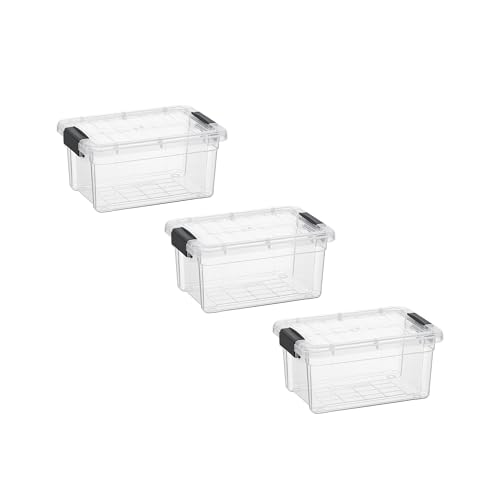 1.05 Quart Mini Clear Plastic Storage Container with Lid (1.05 Quart)