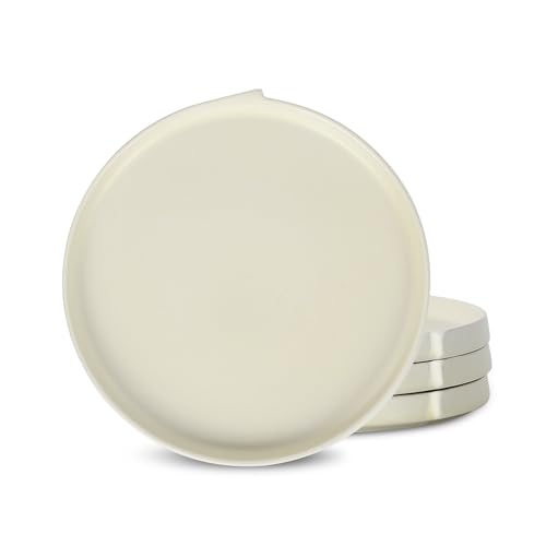 Bao 4 Piece Dinner Plate Set Stoneware (Beige / 4-Piece - Dinner Plate)
