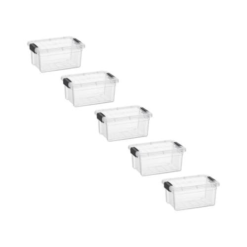 1.05 Quart Mini Clear Plastic Storage Container with Lid (1.05 Quart)