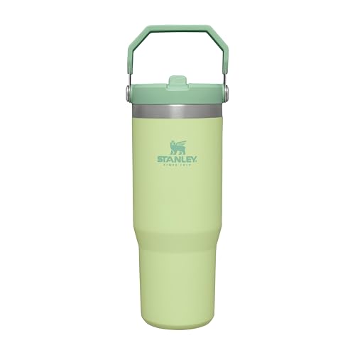 IceFlow Flip Straw Tumbler with Handle 30 oz (Citron / 30 Ounces)