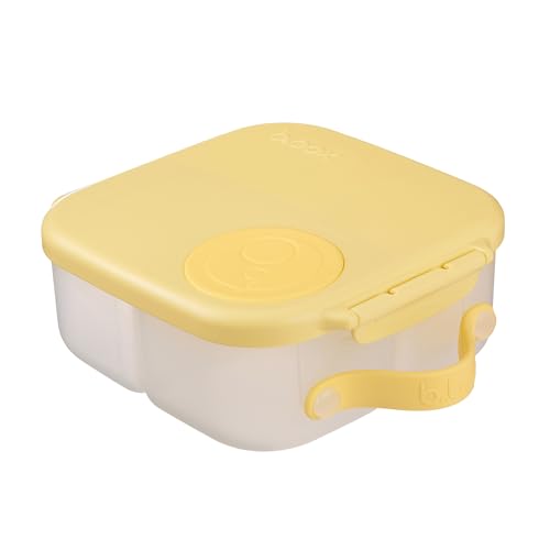 Mini Lunch Box