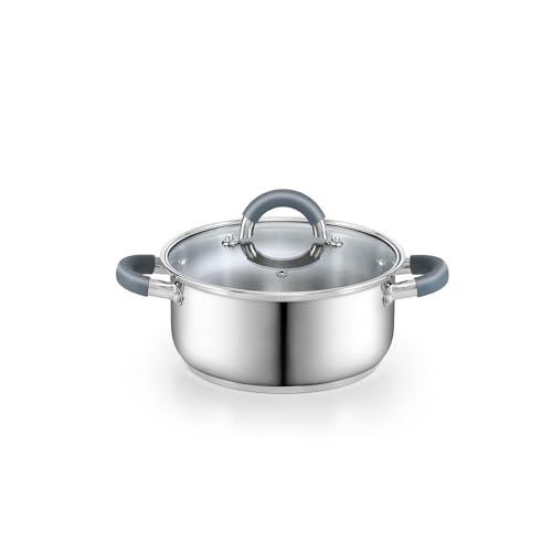 Basics 3 Quart Stainless Steel Stock Pot with Lid (3 Quarts / Gray Silicone Handle)