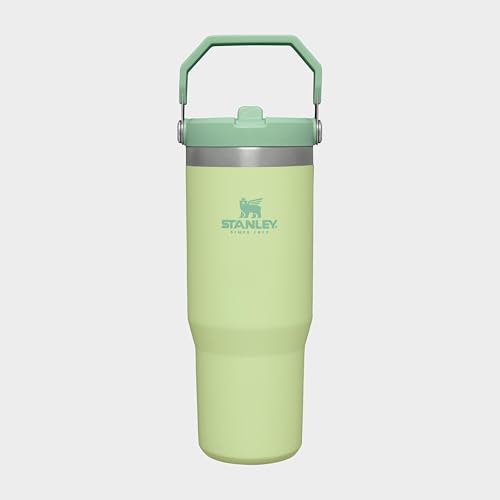 IceFlow Flip Straw Tumbler with Handle 30 oz (Citron / 30 Ounces)