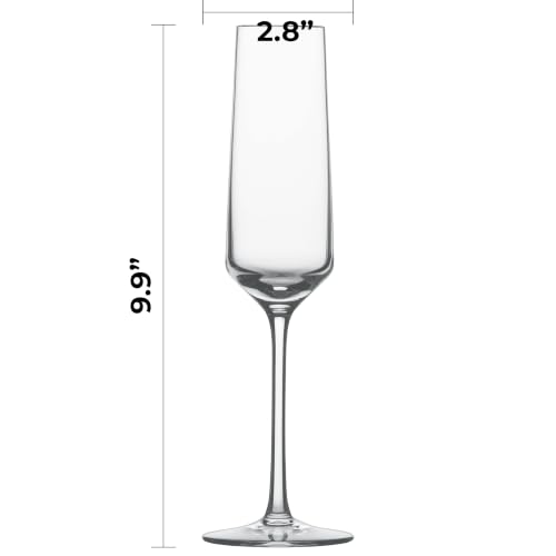 Pure Champagne Glass (6 Count)