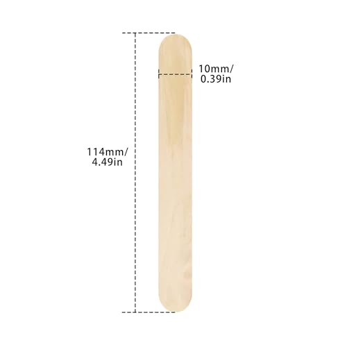 100 PCS Cake Popsicle Sticks and 200 PCS Cake Pop Bags Set (C-accessory)