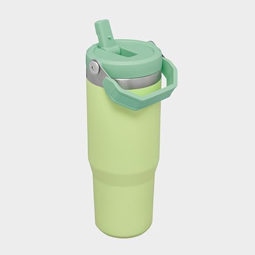 IceFlow Flip Straw Tumbler with Handle 30 oz (Citron / 30 Ounces)