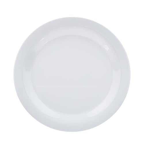 Melamine Dinner Plates for Restaurants and Home (6 Count)