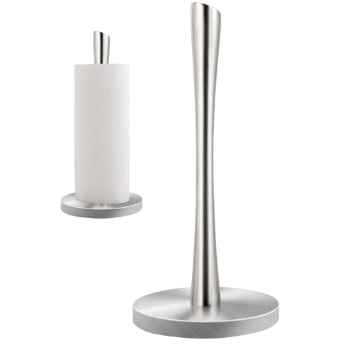 Stainless Steel Paper Towel Holder (Sliver Stainless Steel)