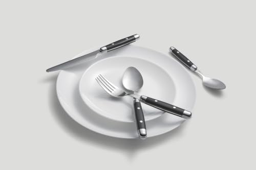 Jubilee Black Stainless Steel Silverware Set for 4 (Black (Pack of 1))