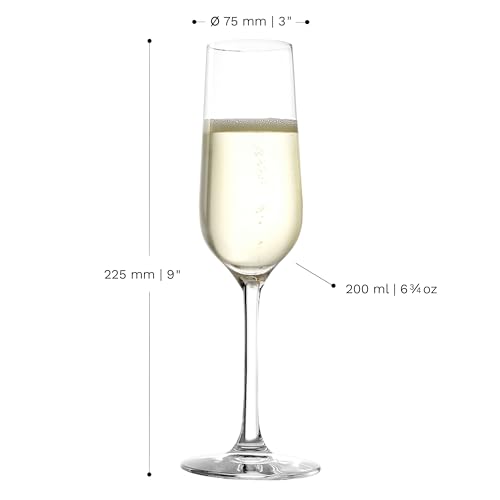Revolution Sparkling Wine Champagne Glasses 6 3 (4 Pieces (1 Pack))