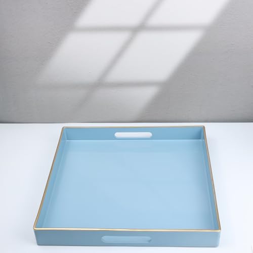 Light Blue Decorative Tray for Living Room (Bs002r)