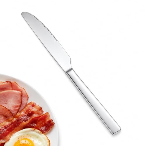 12 Piece Stainless Steel Dinner Knife Set (9.06''Silver Dinner Knife 12pcs)