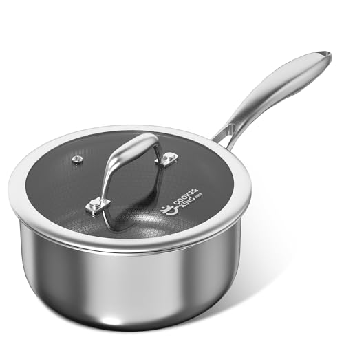 2 Qt Stainless Steel Saucepan (2 Quarts)