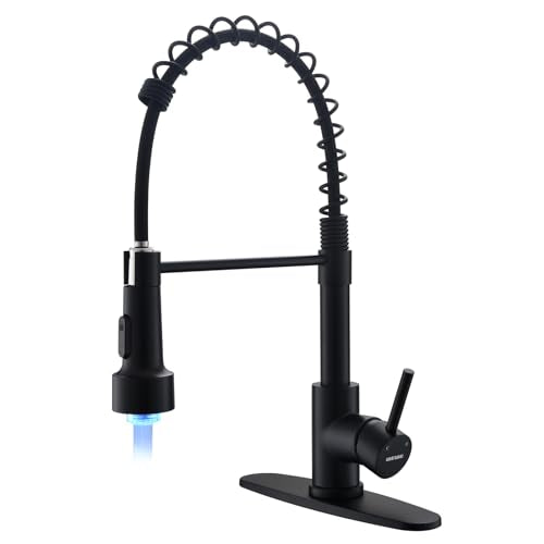 LED Kitchen Faucet (Matte Black)